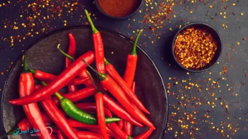 كل ما تحتاج لمعرفته حول الطعام الحار