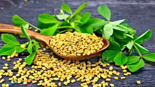 أسباب فقر الدم عند الأطفال باستخدام الحلبة