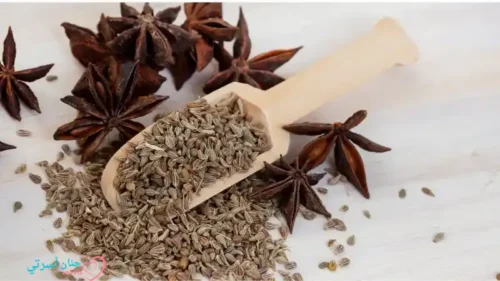 تأثير اليانسون على الجهاز الهضمي للرضع