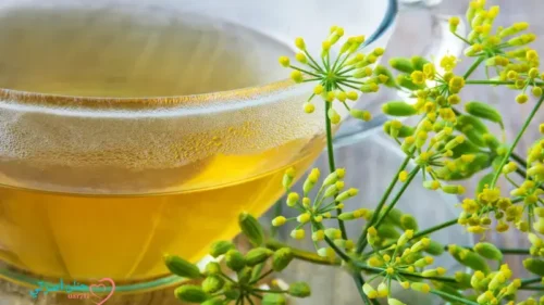 استخدام الشمر بأمان لراحة الرضع والأطفال