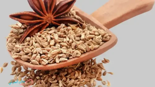 اليانسون النجمي علاج طبيعي لطفلك